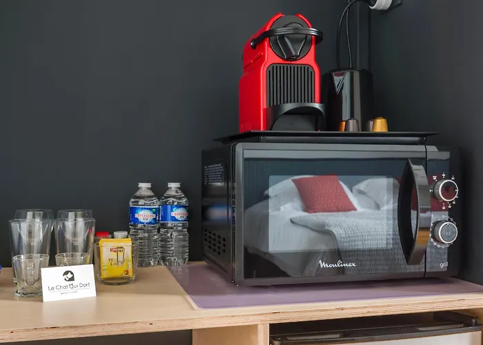 Au Qui Dort - Gounod Appartement Lille